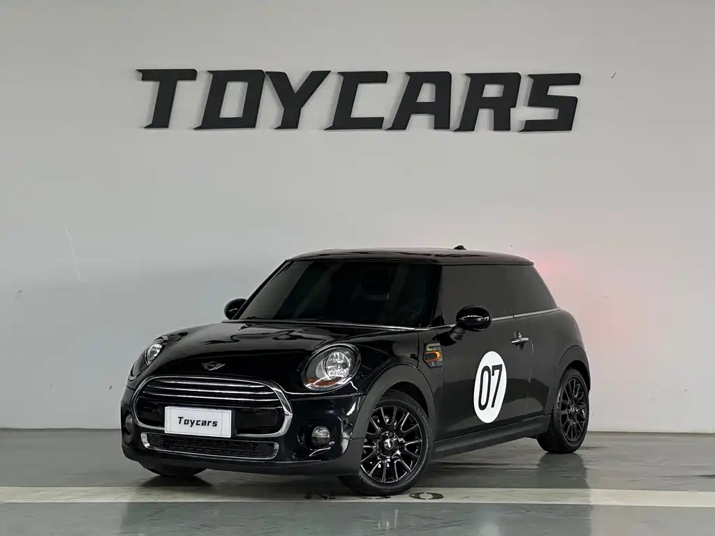 MINI OTHER 2016