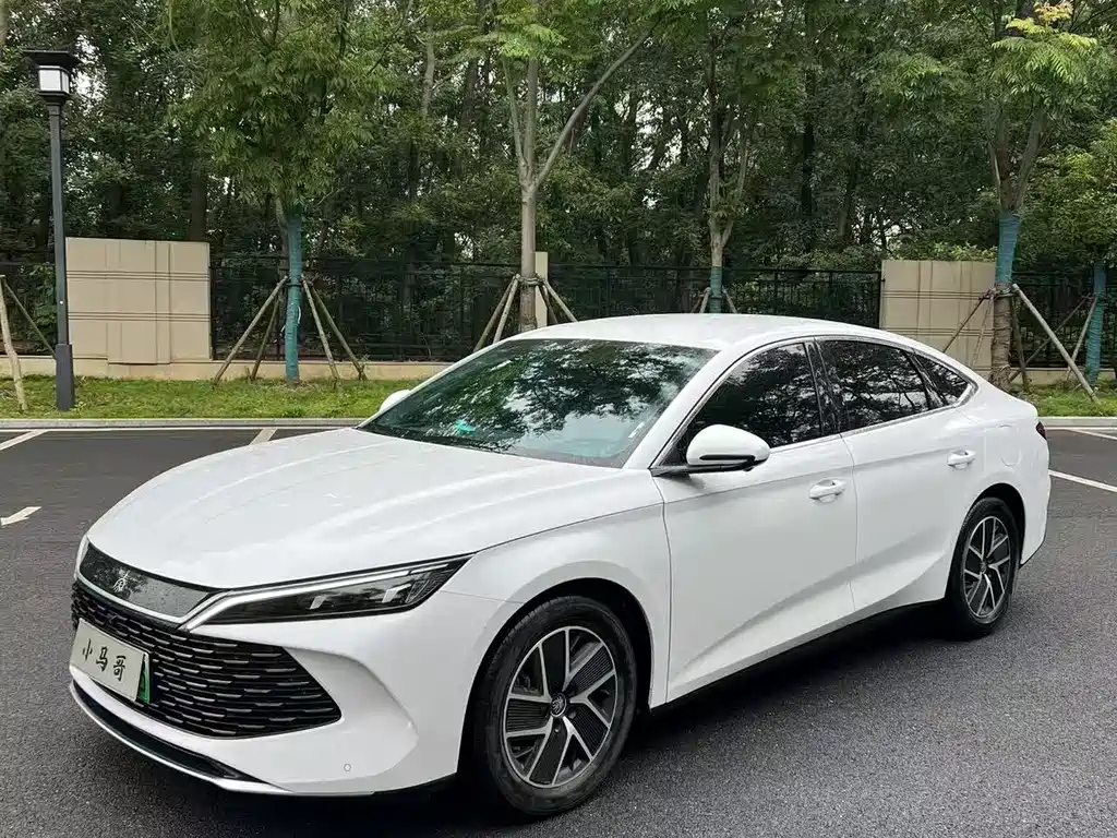 BYD QIN L 2024