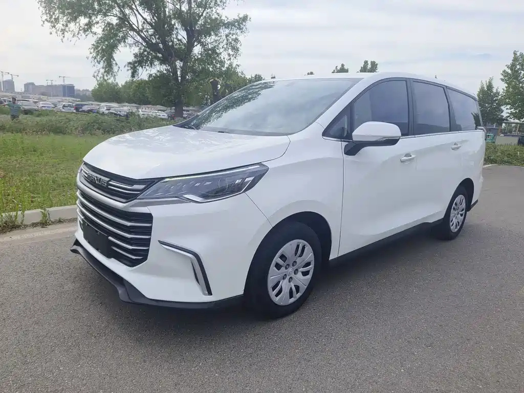 MAXUS OTHER 2022