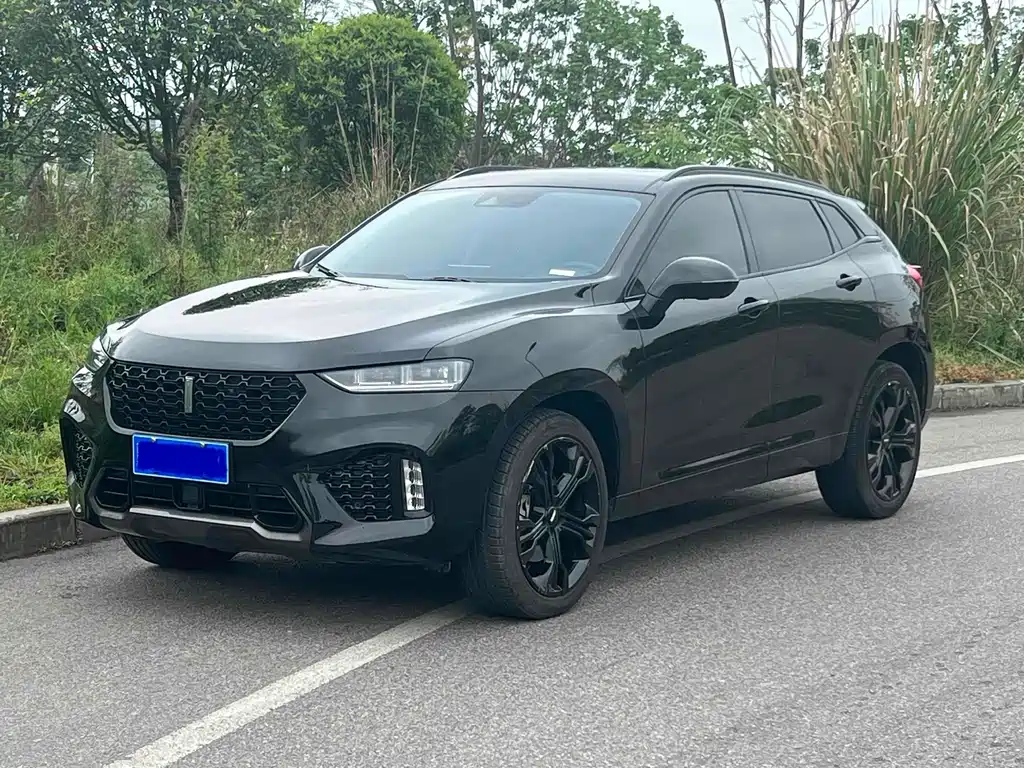 WEY VV7