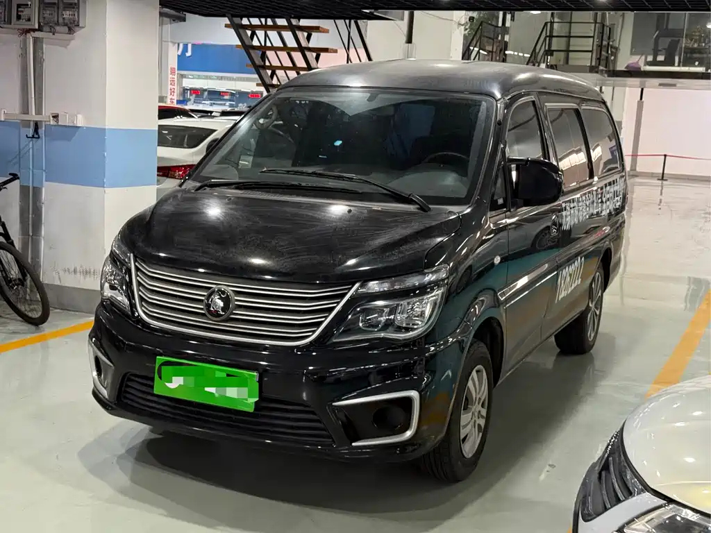 DONGFENG LINGZHI