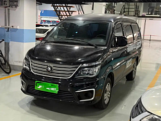 dongfeng lingzhi