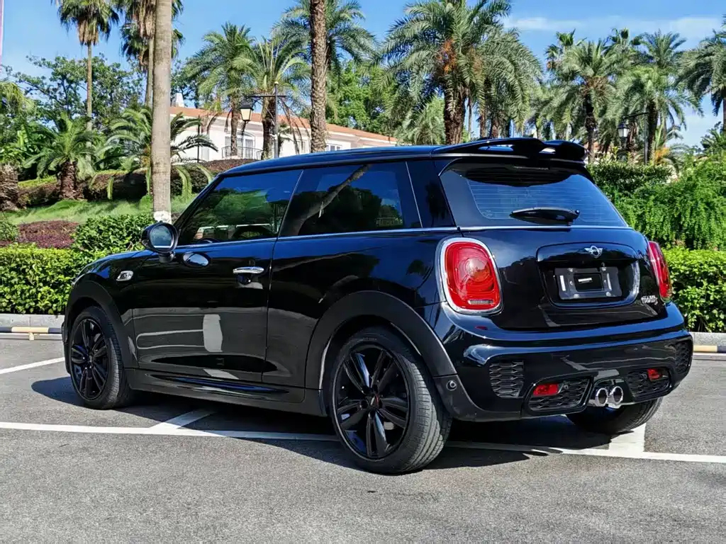 MINI OTHER 2017