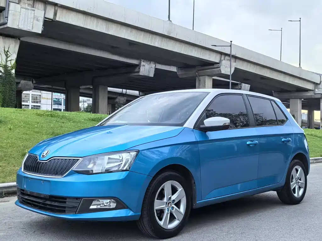 SKODA FASCIA 2015