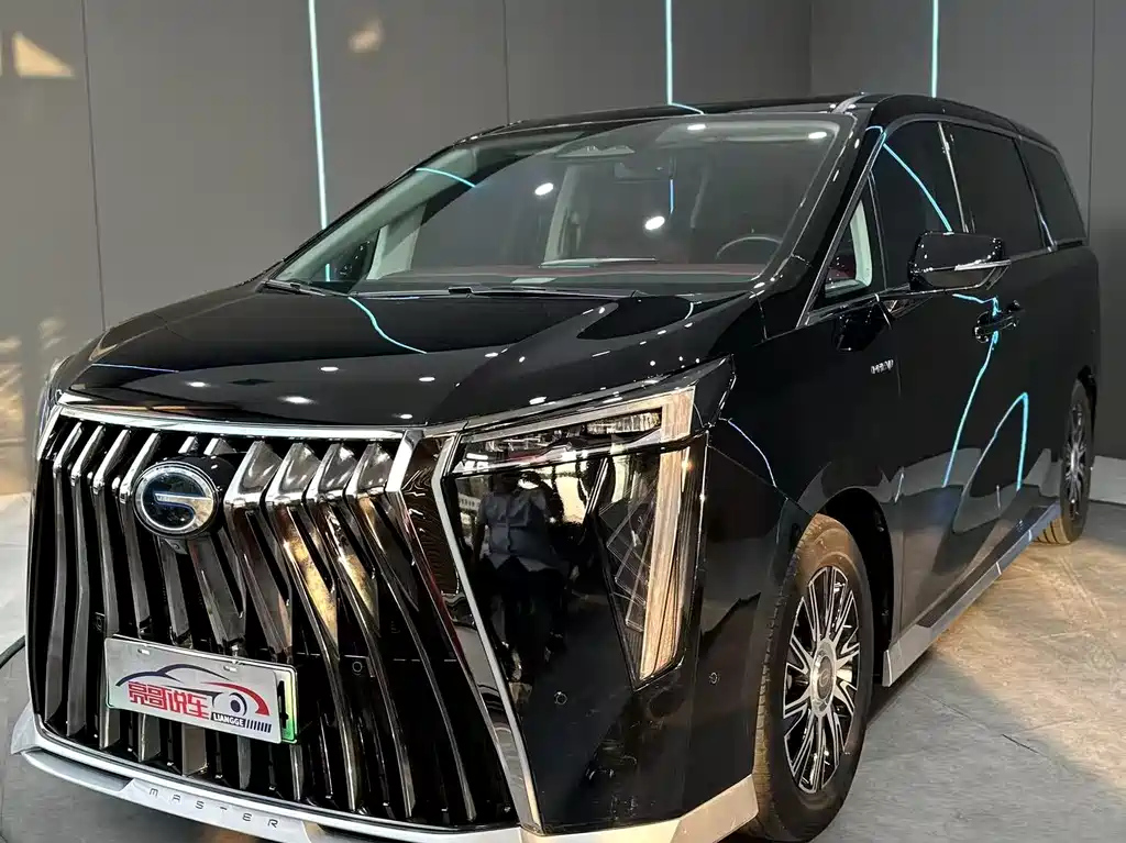Аукционный лист TRUMPCHI E9 2024