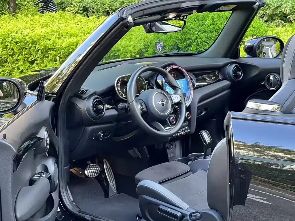 MINI OTHER 2022
