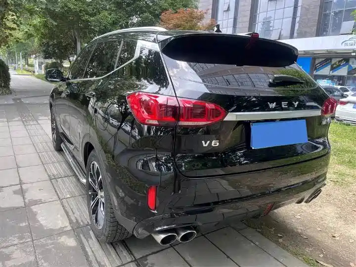 WEY VV6 2020