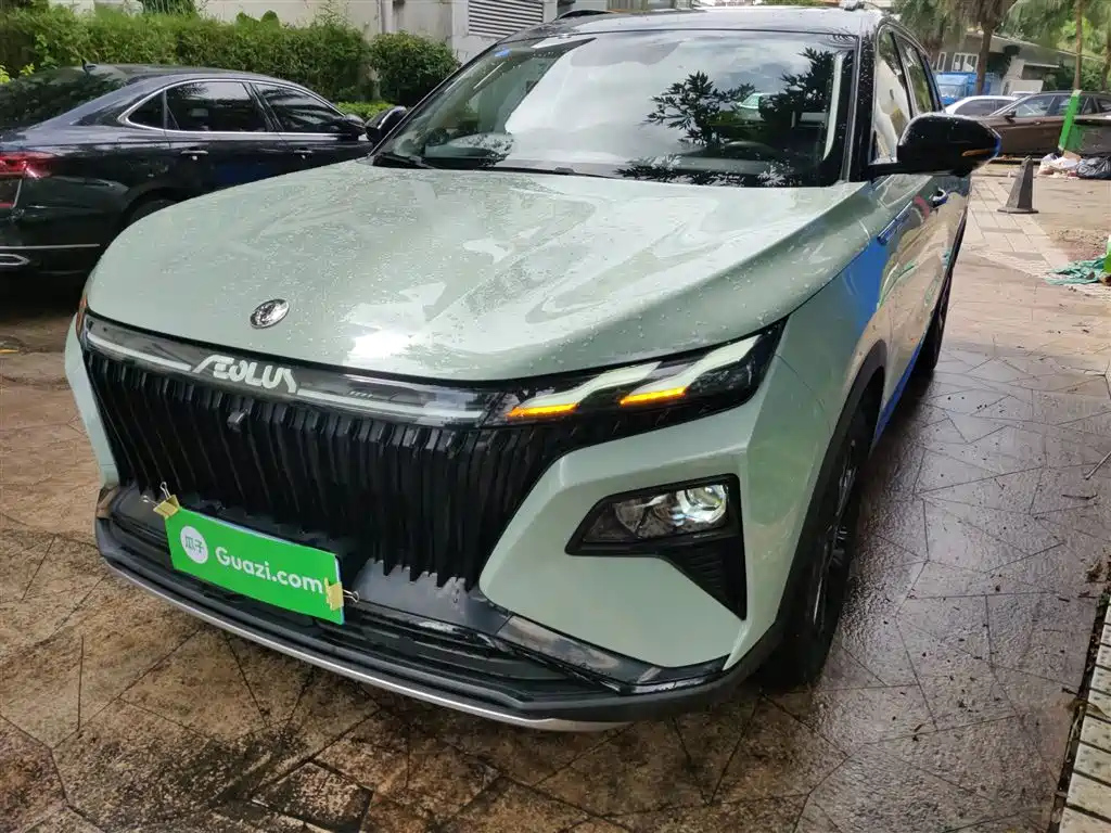 DONGFENG OTHER 2022