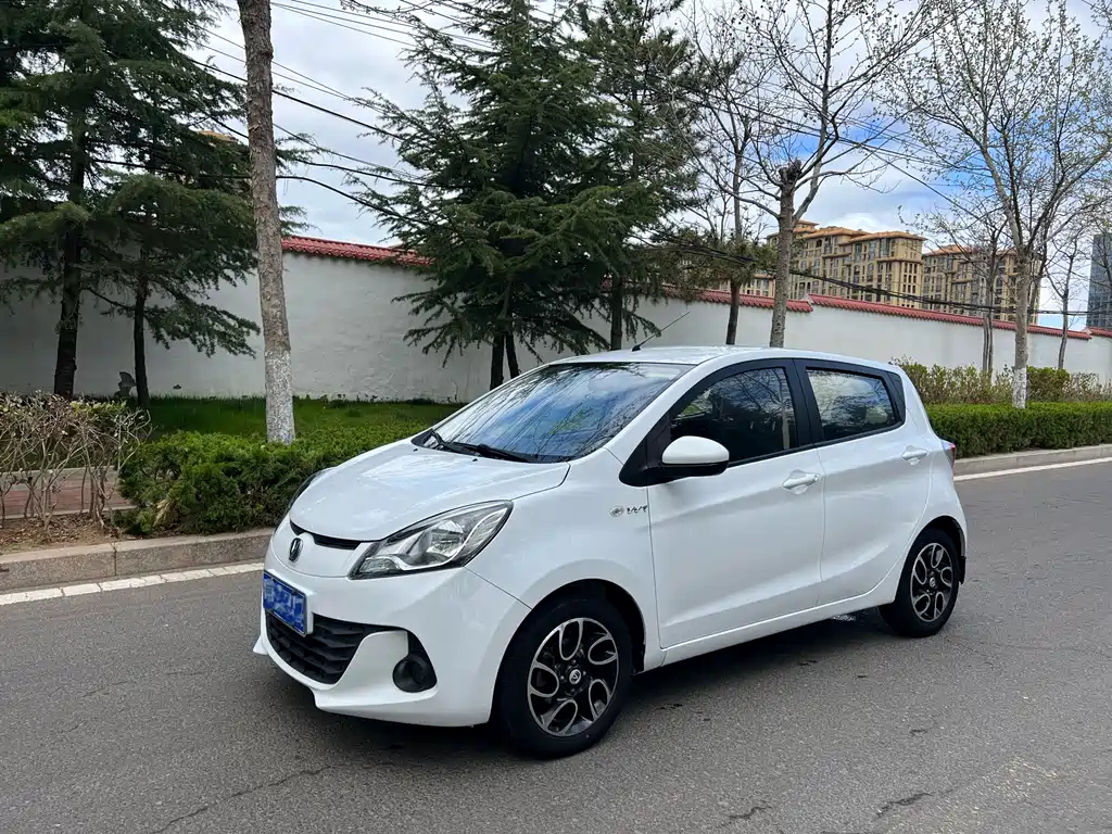 Аукционный лист CHANGAN BENBEN 2015