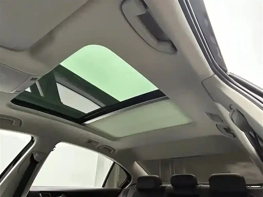 VOLKSWAGEN MAGOTAN 2020