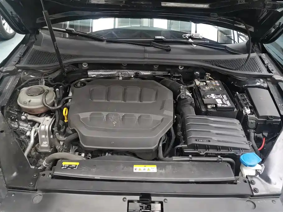 VOLKSWAGEN MAGOTAN 2024