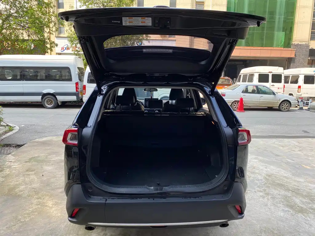 TOYOTA WILDLANDER 2021