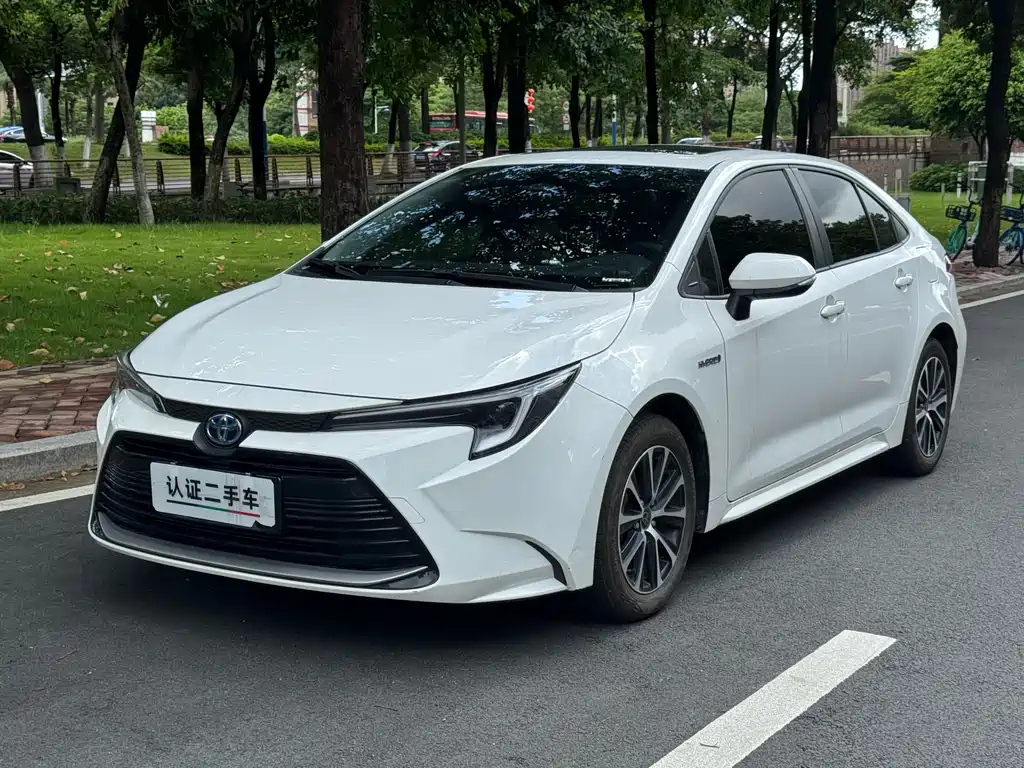 TOYOTA RALINK 2024