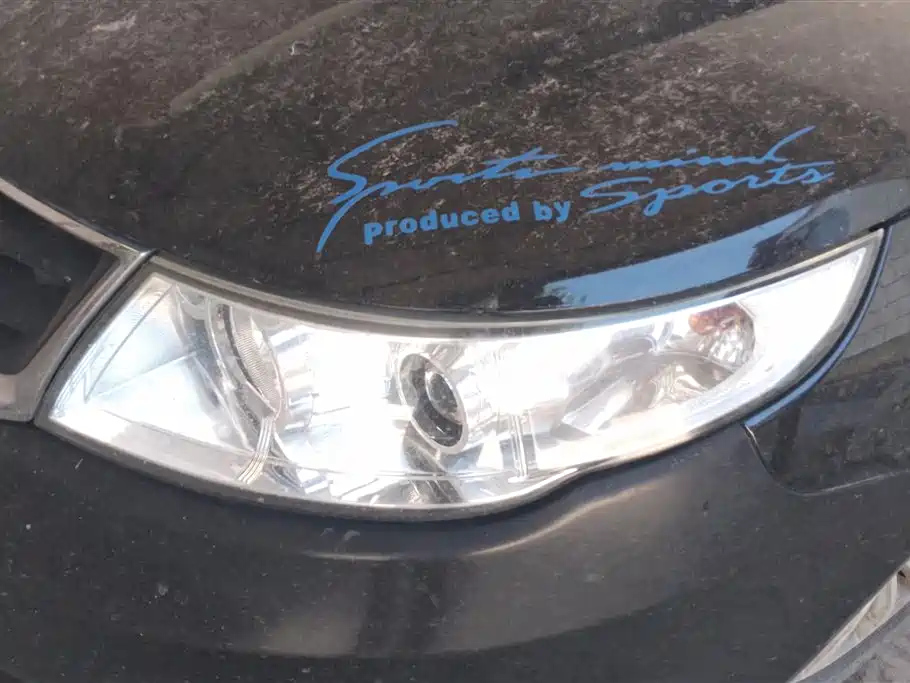 GEELY AUTO VISION 2014