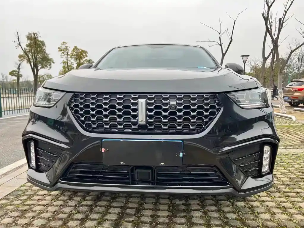 WEY VV5 2019