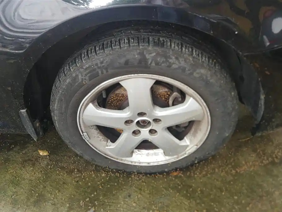 ROEWE 350 2013