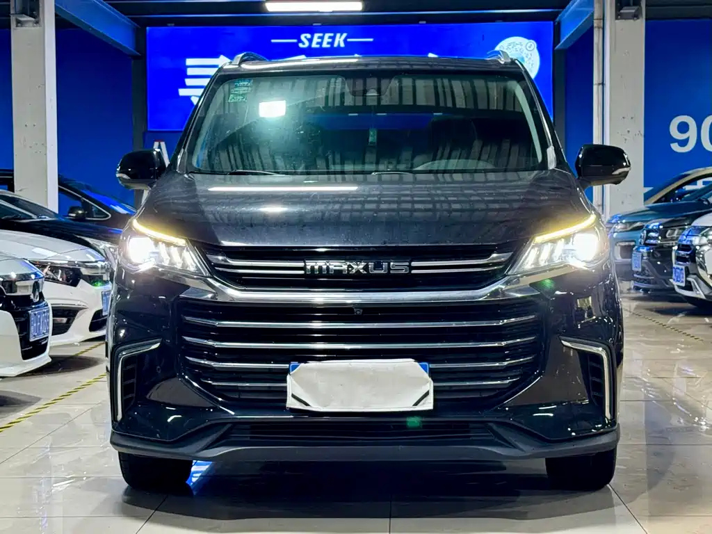MAXUS OTHER 2020