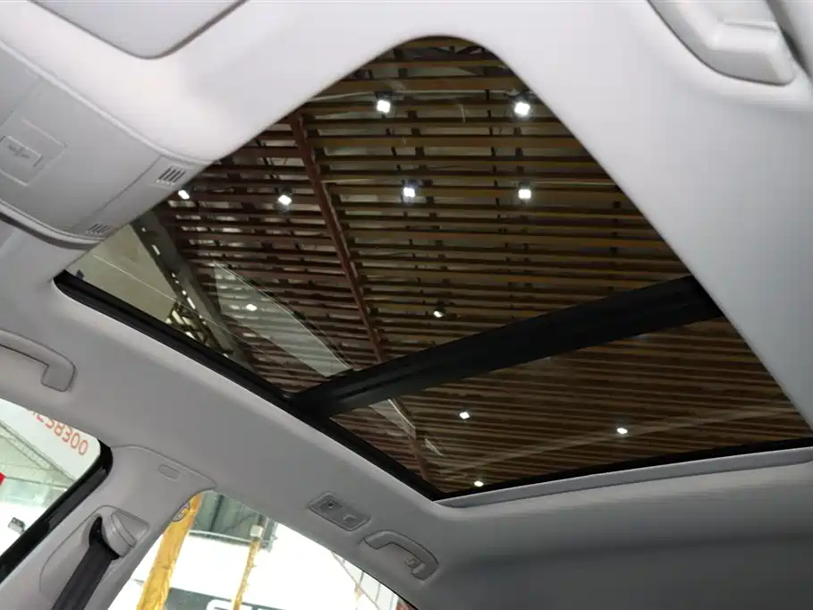 VOLKSWAGEN MAGOTAN 2021