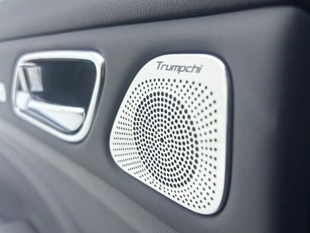 TRUMPCHI GS8 2021