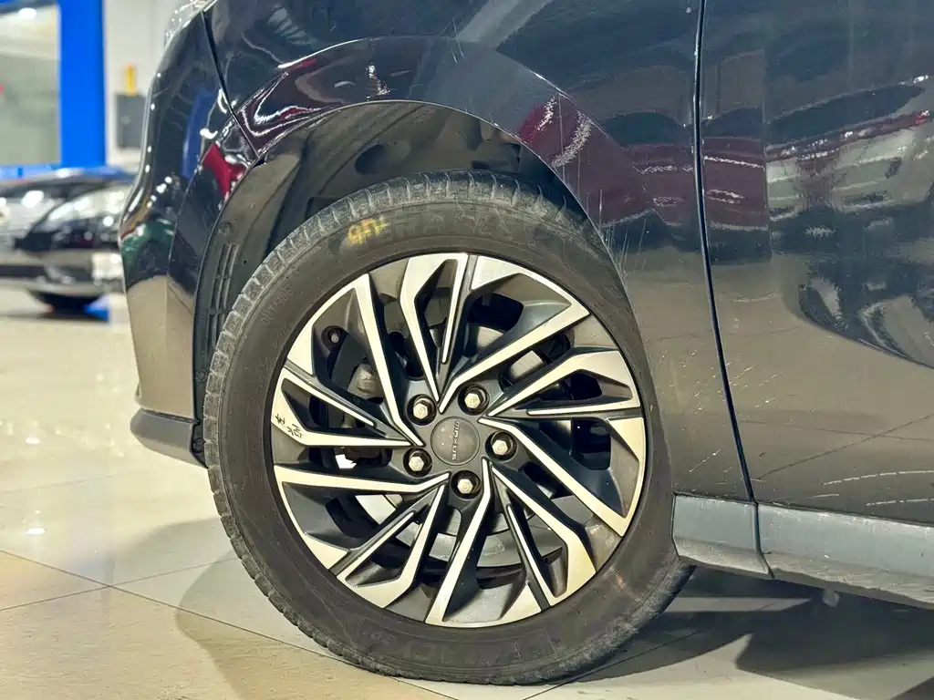 MAXUS OTHER 2020
