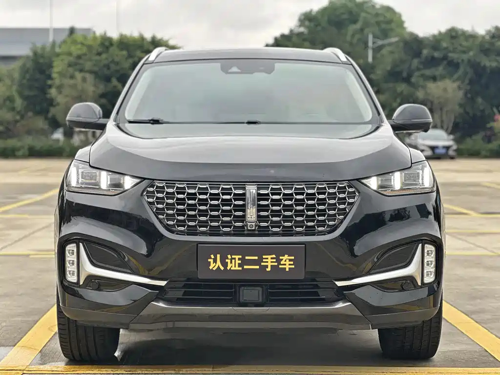 WEY VV6 2020