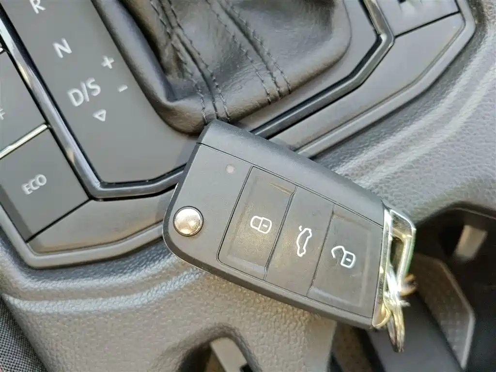 VOLKSWAGEN LAVIDA 2024