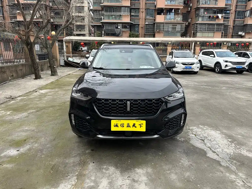 WEY VV6 2019