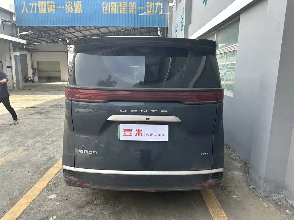 DENZA D9 2024