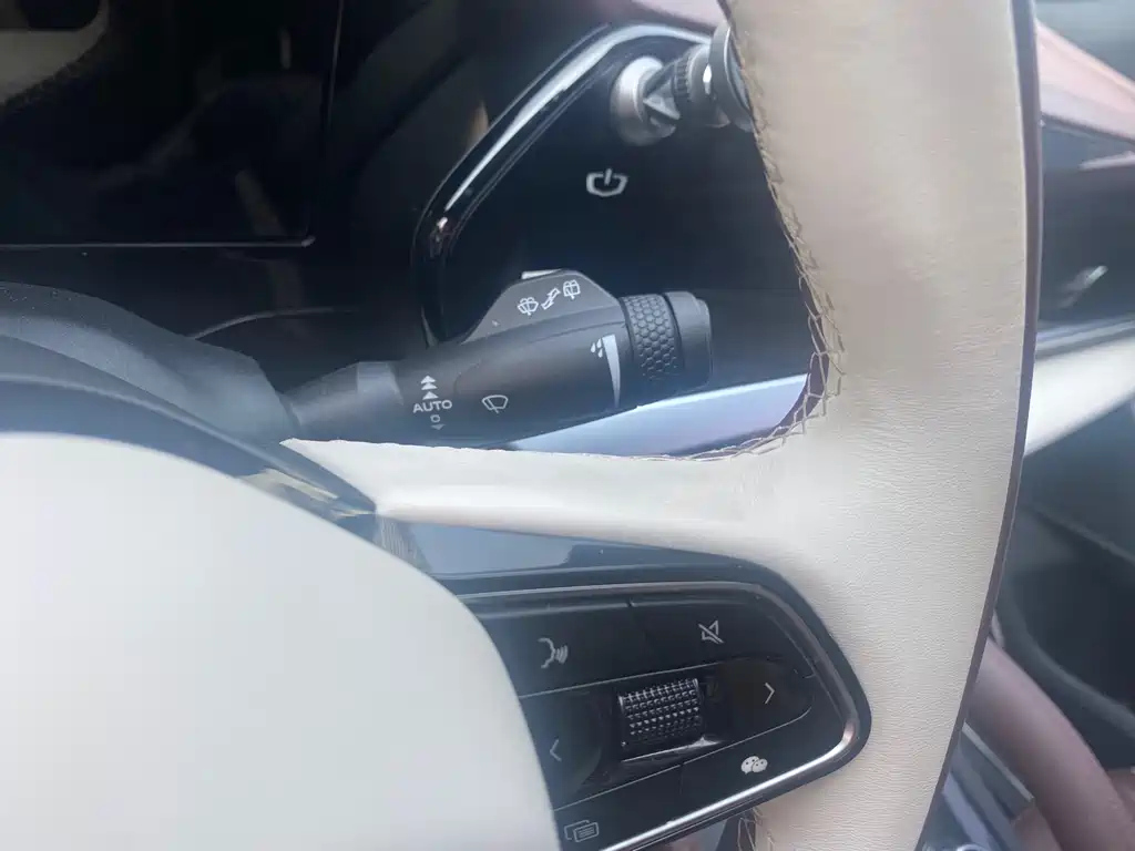 GEELY AUTO MONJARO 2020