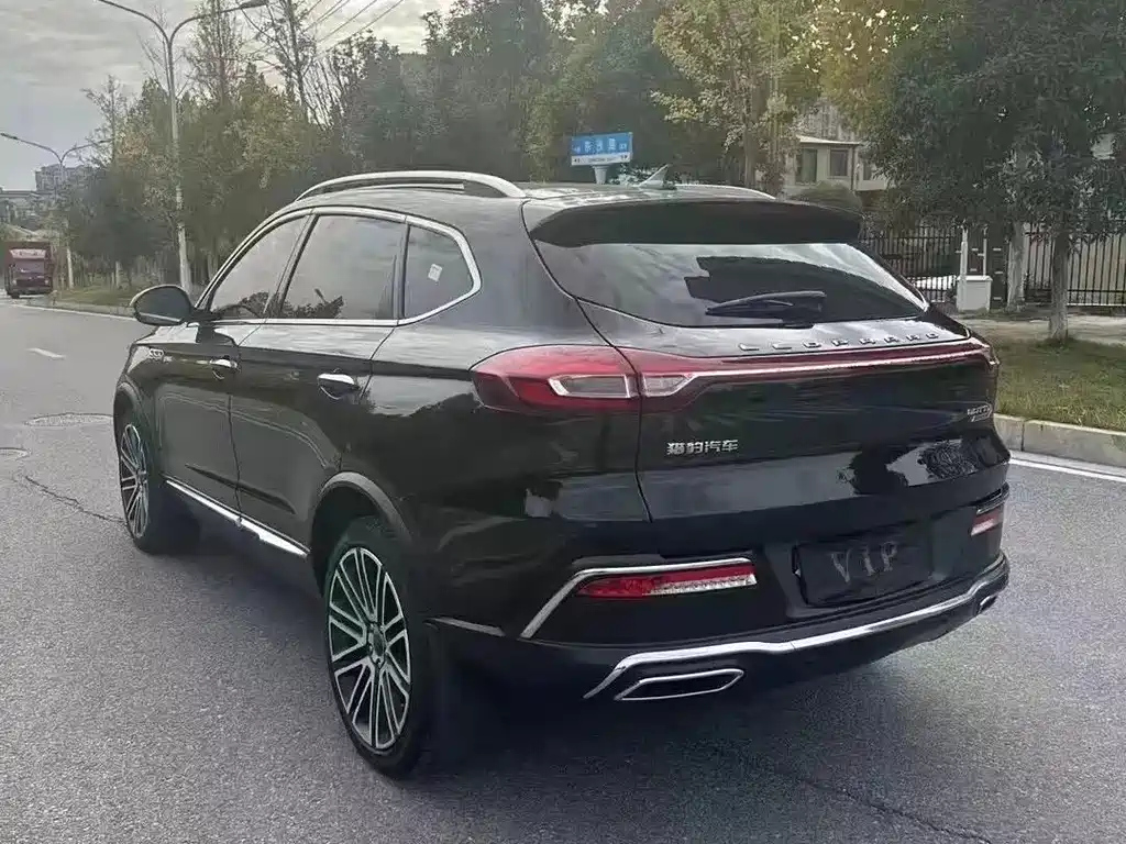 LEOPAARD MATTU 2019
