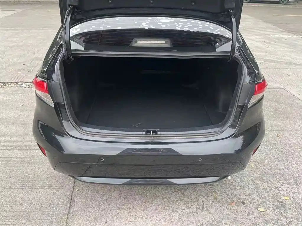 TOYOTA RALINK 2020