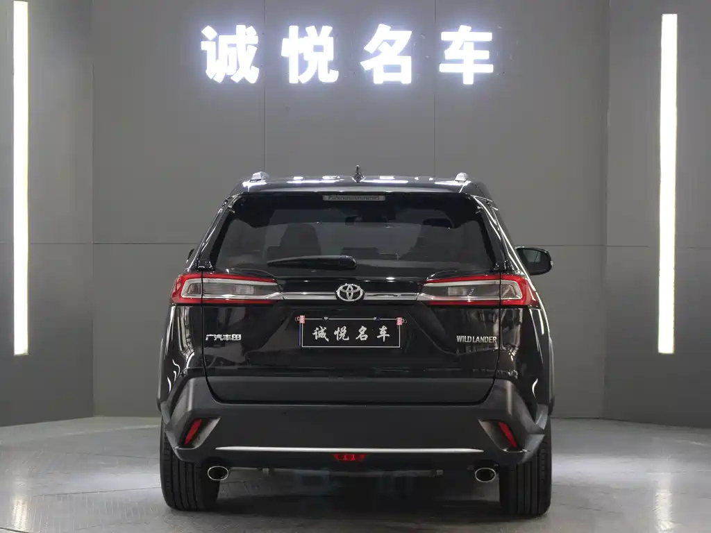 TOYOTA WILDLANDER 2022