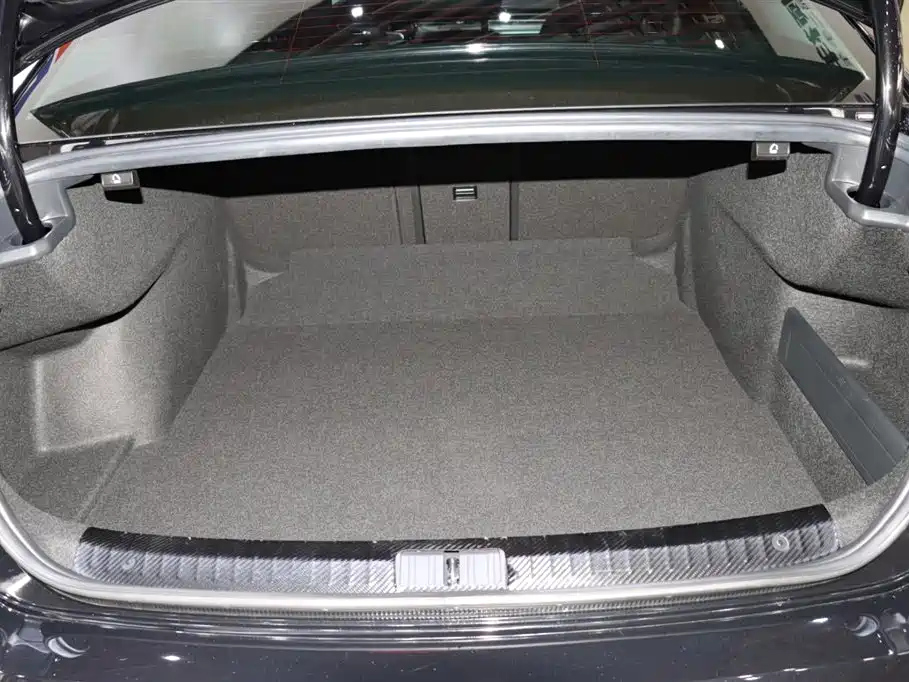 VOLKSWAGEN MAGOTAN 2021