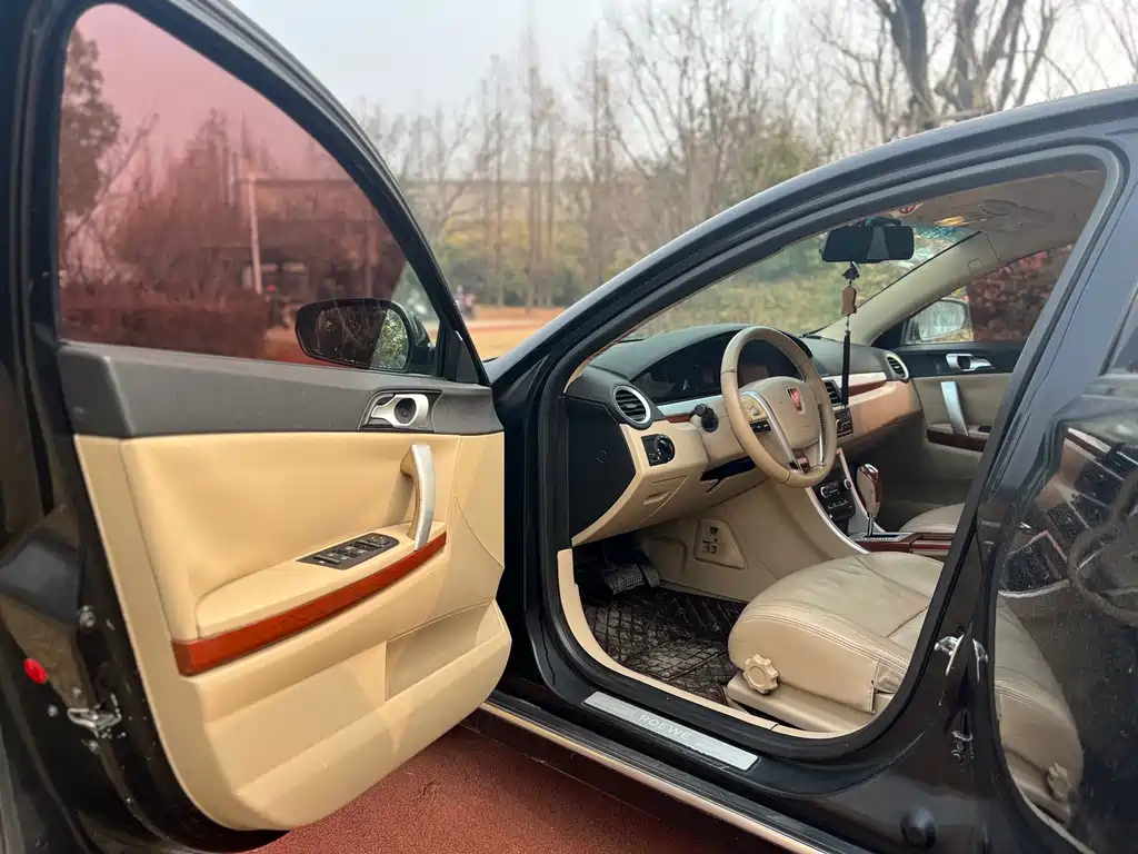 ROEWE 550 2010