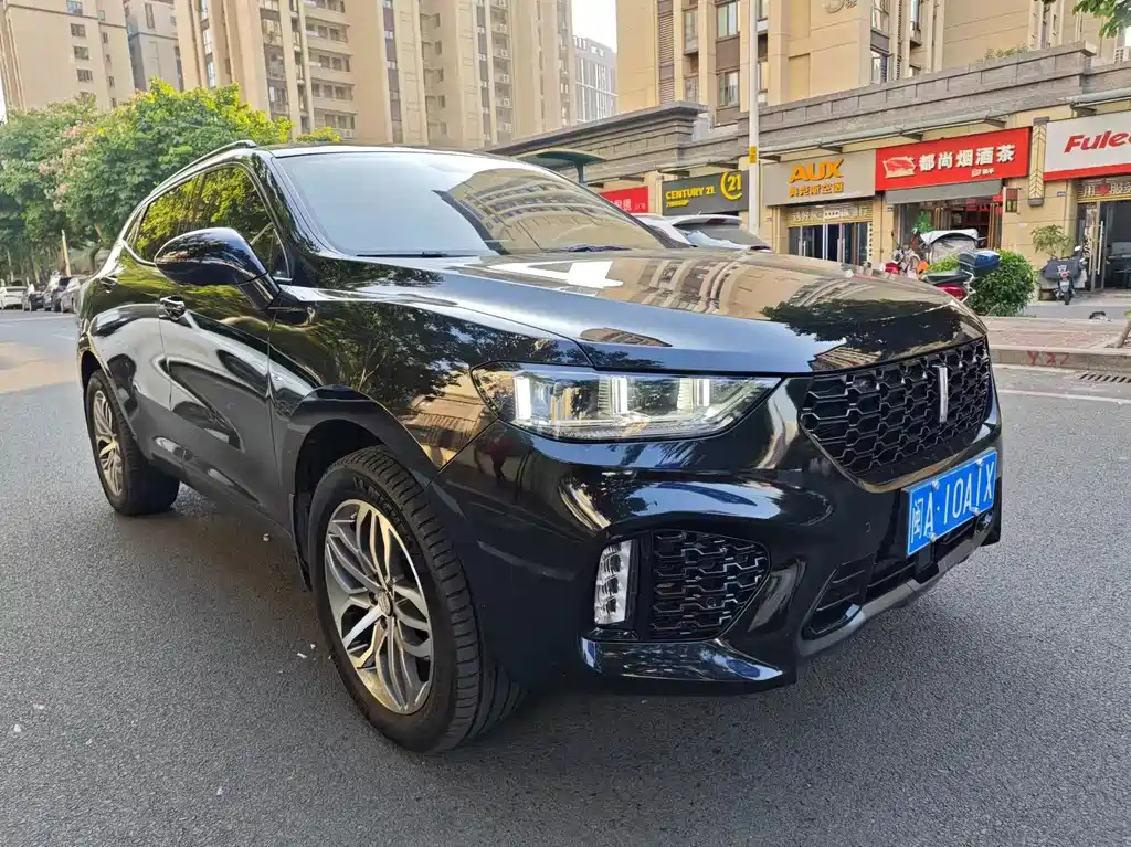 WEY VV5 2017