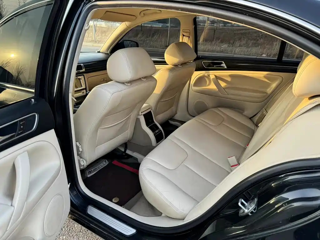 VOLKSWAGEN OTHER 2010
