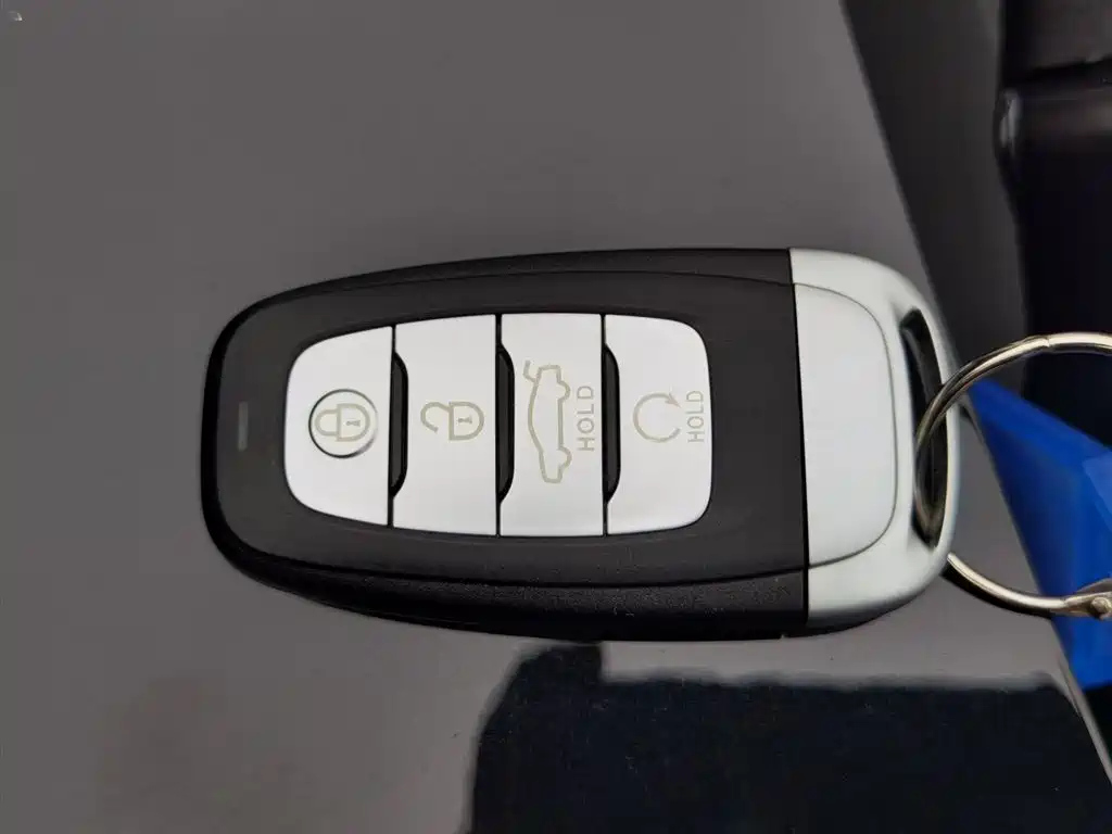 HONGQI H5 2021