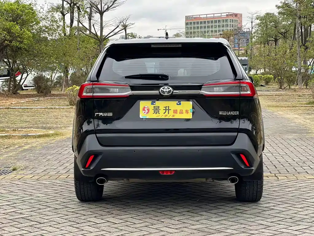 TOYOTA WILDLANDER 2020
