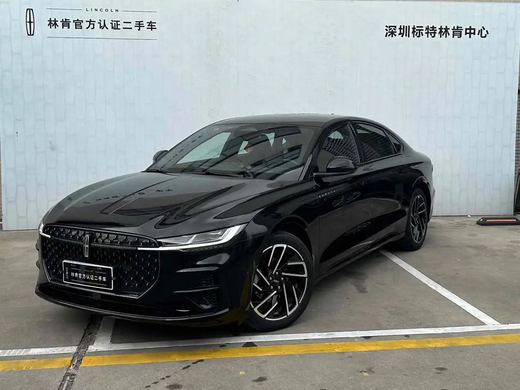 Аукционный лист LINCOLN Z 2024