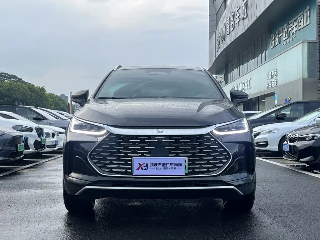 BYD TANG NEW ENERGY 2025
