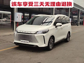 maxus other
