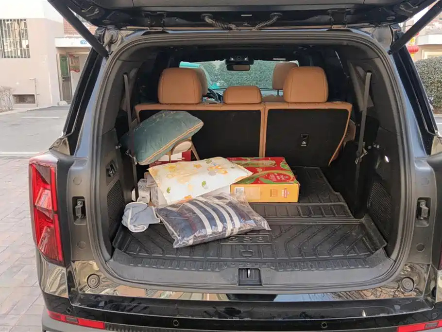 TRUMPCHI GS8 2024