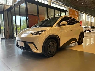 Заказать BYD SEAGULL