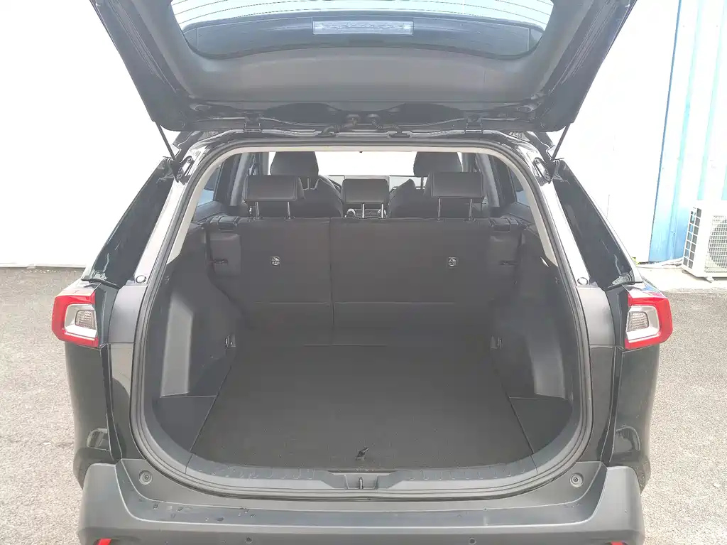 TOYOTA WILDLANDER 2024