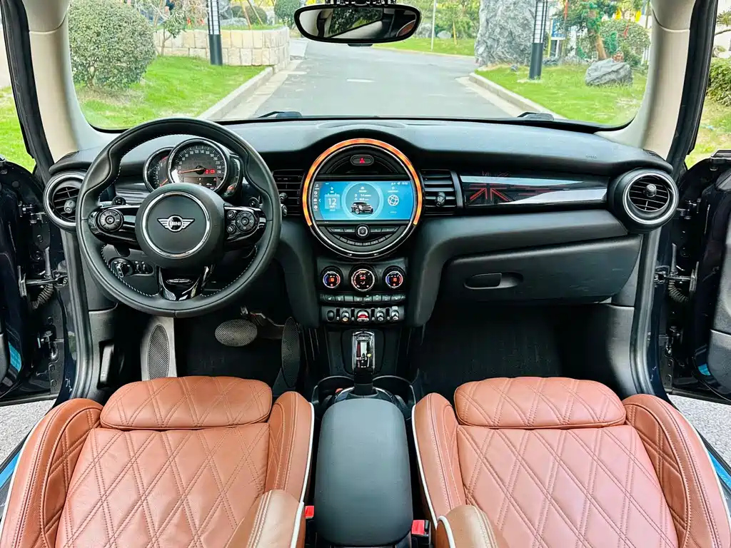 MINI OTHER 2020