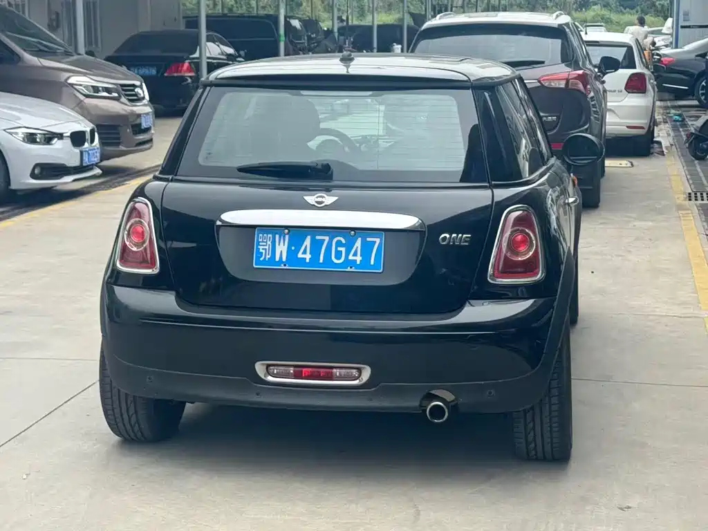 MINI OTHER 2013