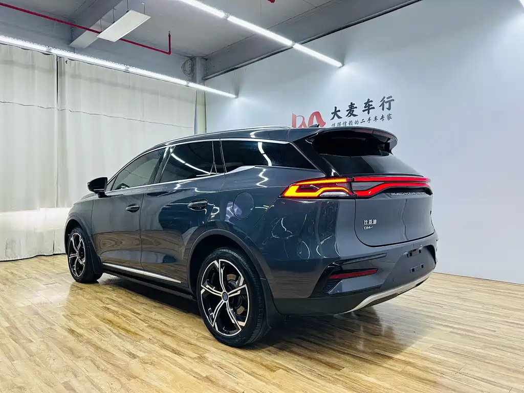 BYD TANG NEW ENERGY 2021