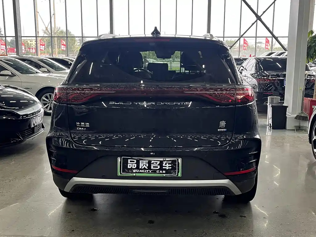 BYD TANG NEW ENERGY 2025