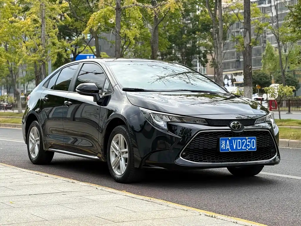 TOYOTA RALINK 2019