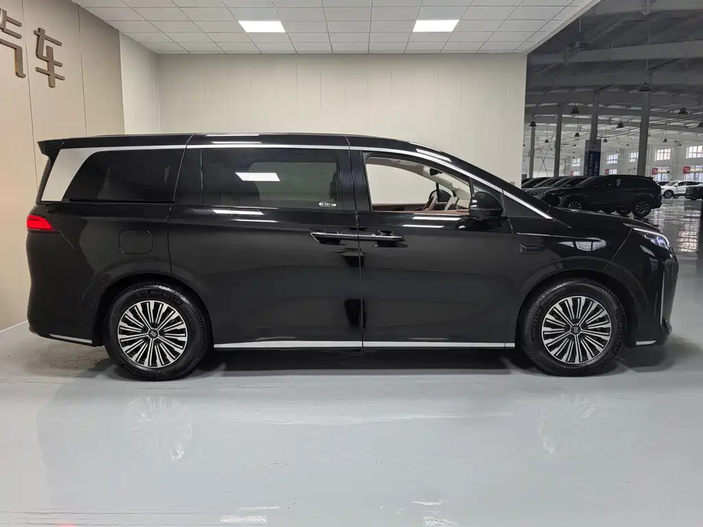 BYD OTHER 2025